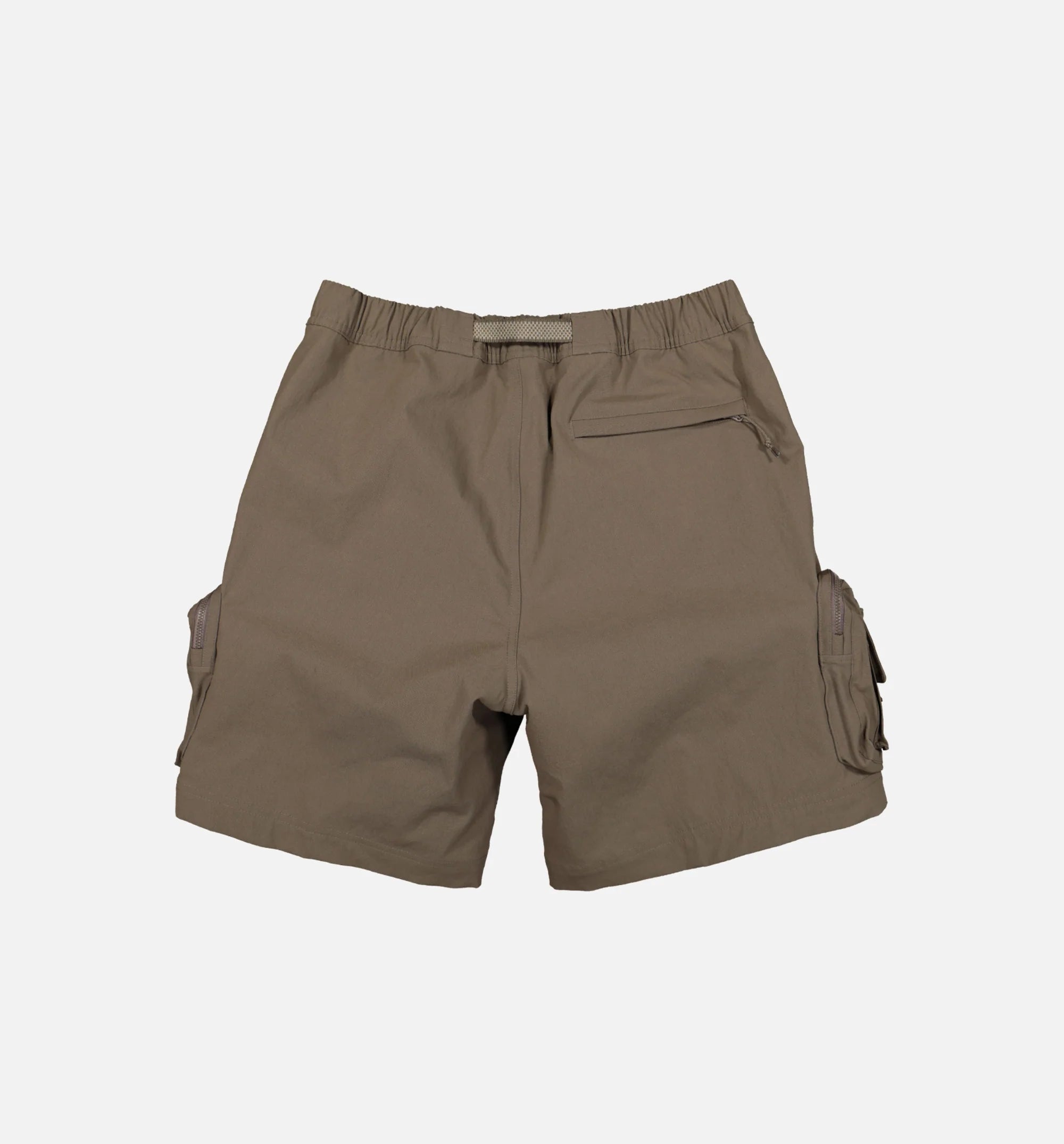 ACG Cargo Shorts Mens Shorts Brown