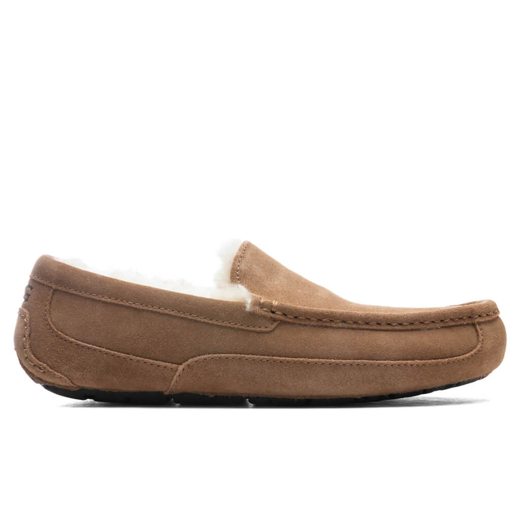 Ascot Slipper Chestnut