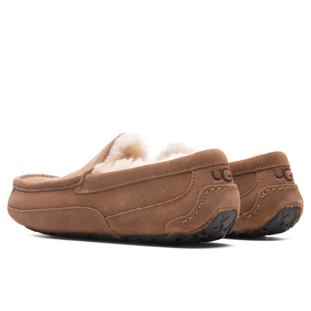Ascot Slipper Chestnut