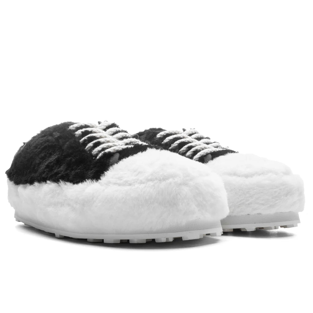 Black Teddy Tennis Sneaker Lily White Black