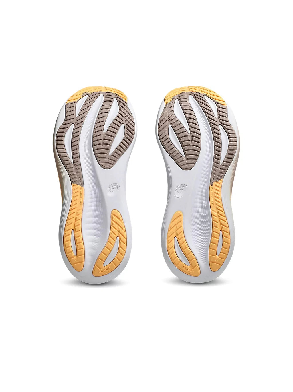 Asics Gel Nimbus 27 Womens Shoe