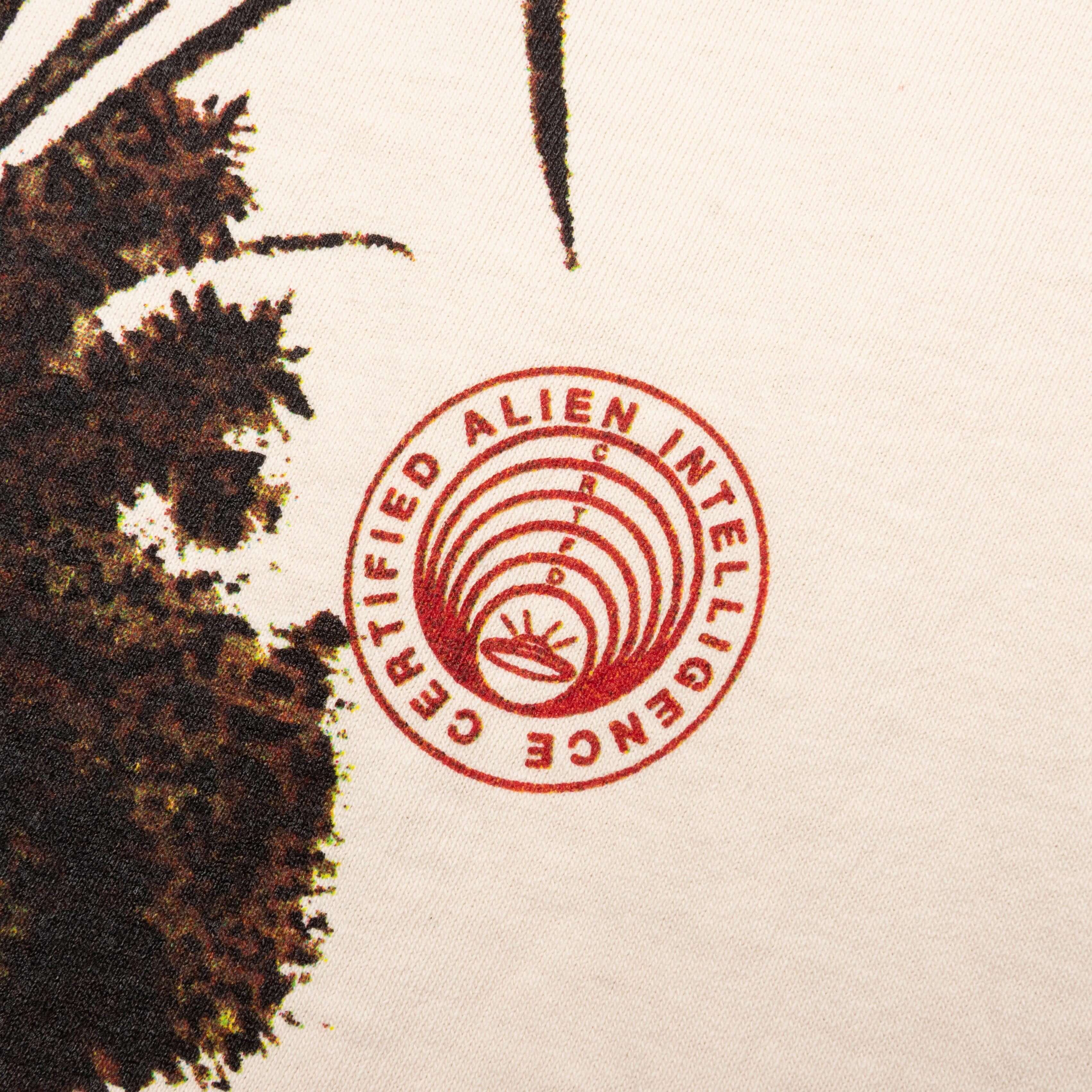 Flying Saucers Tee Natural