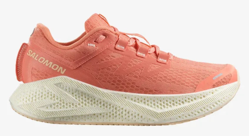 Womens Salomon Aero Glide 3 Clearance