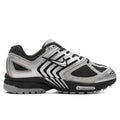 Air Pegasus 2K5 Metallic Silver Metallic Platinum Flat Silver