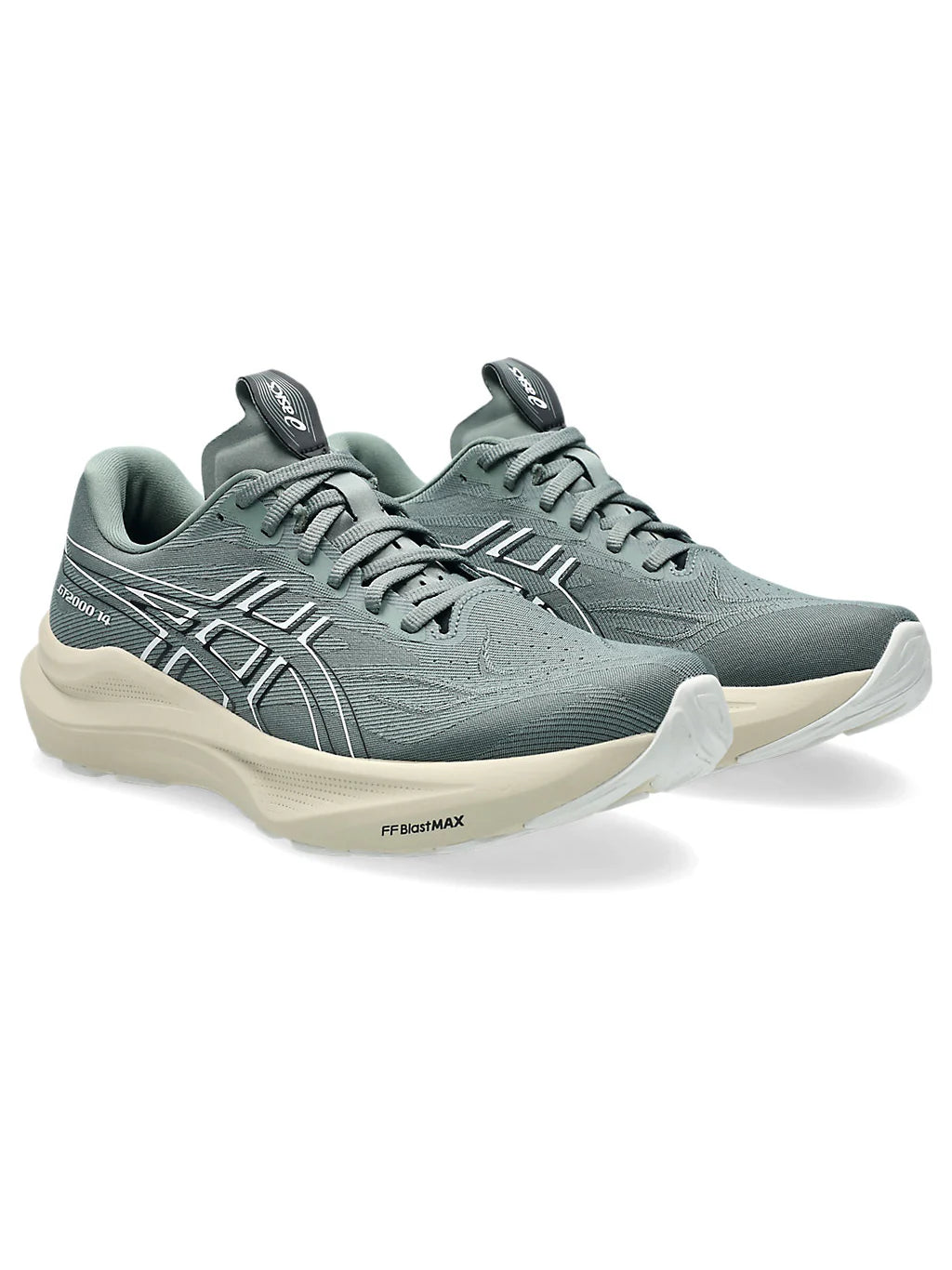 Asics GT 2000 14 Mens Shoes