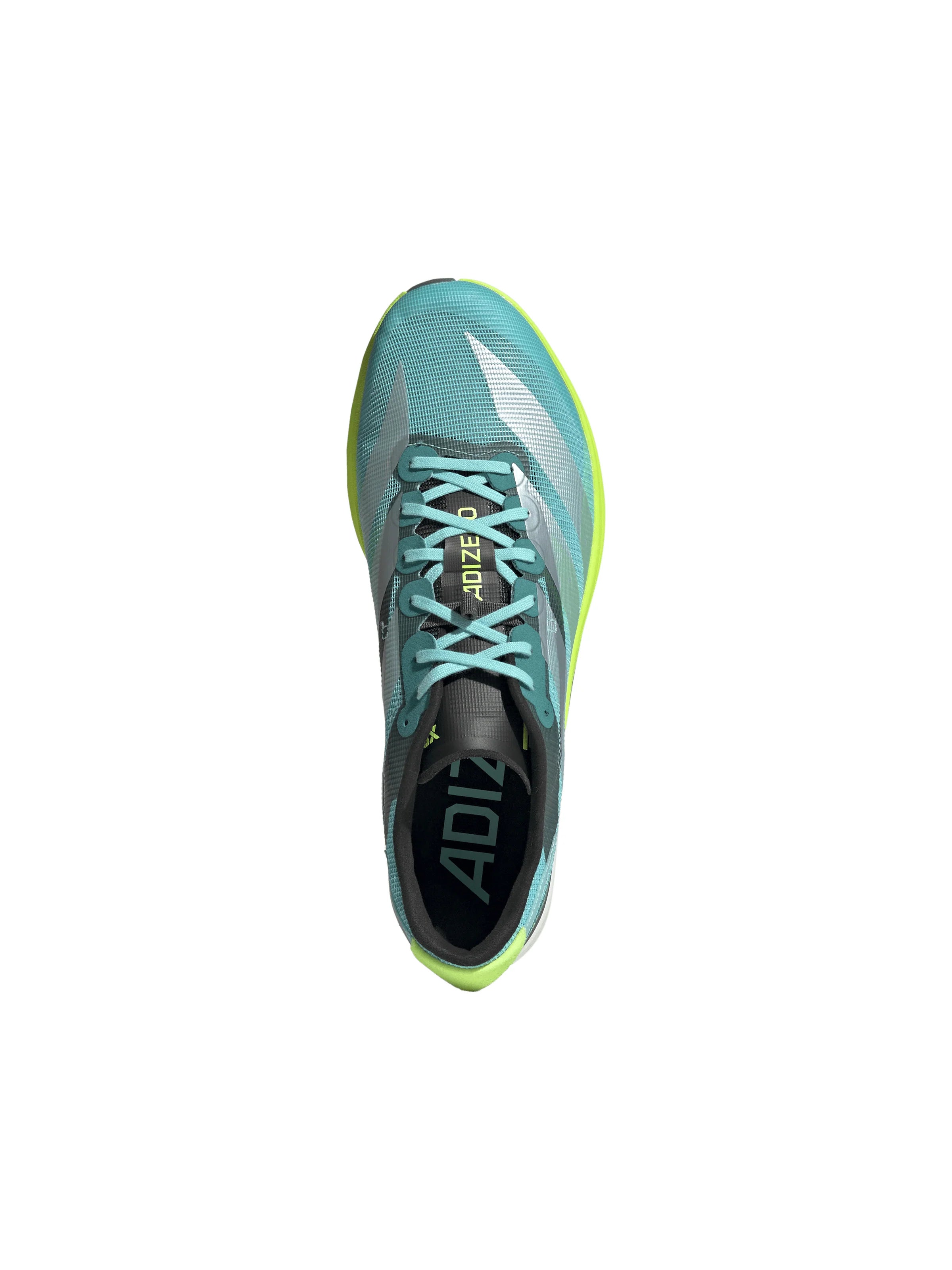 Adidas Adizero Avanti XC Spikes