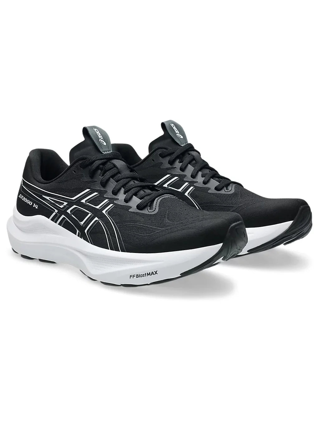 Asics GT 2000 14 Mens Shoes