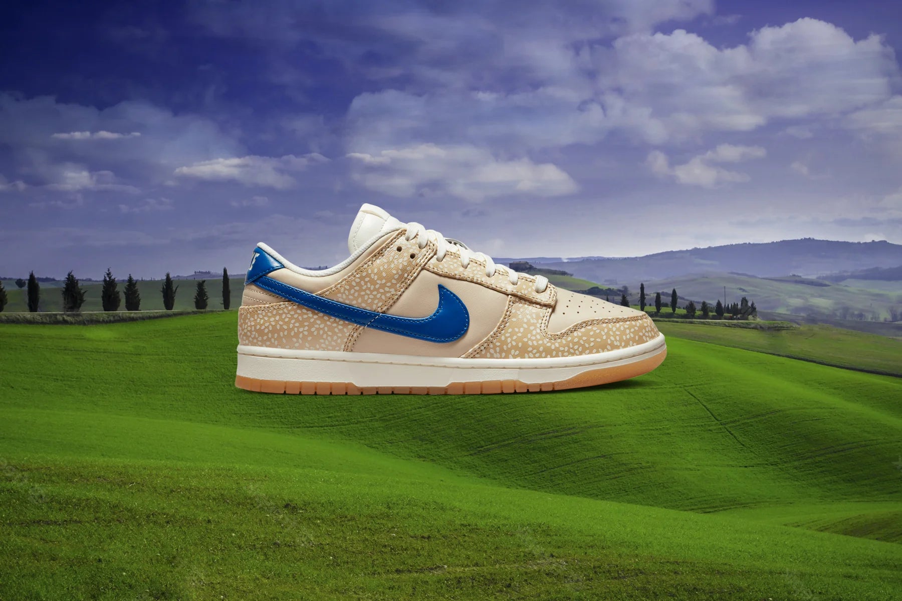 Dunk Low Montreal Bagel Sesame Blue Jay Sail