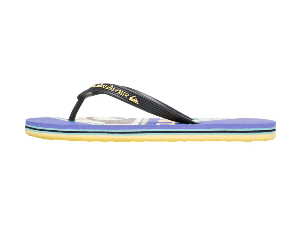 Sandalias Quiksilver Molokai Screen Morado para Hombre